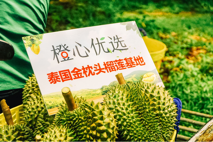 携手泰国政府 滴滴橙心优选打造首个本土榴莲节