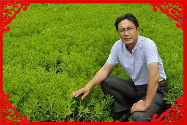 具备农村资源的创业者，今年可以在这几方面谋求发展，推荐一下