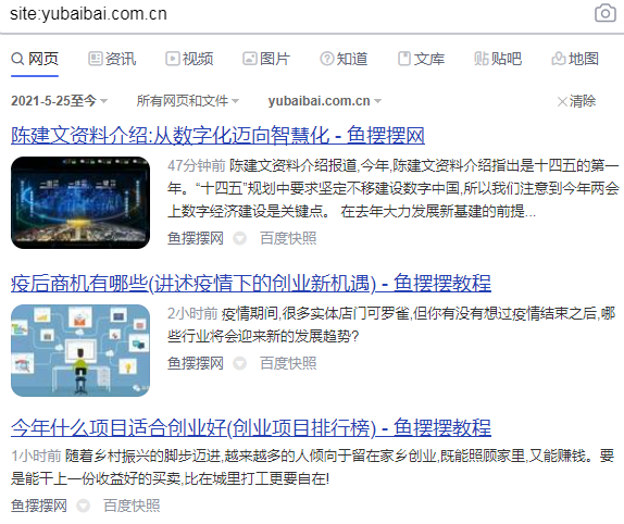 10万ip的网站操作流量+盈利分析