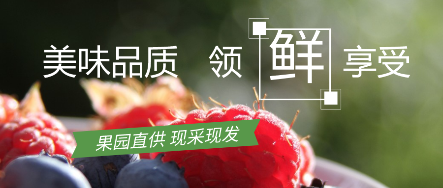 水果实体店+小程序运营：9条实操秘籍+4大营销手段，让销售额暴涨！