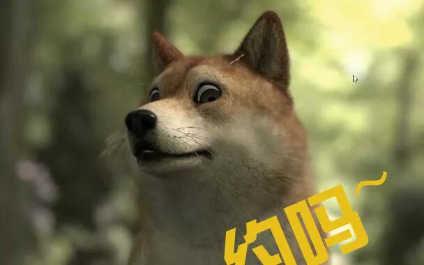 好消息！好消息！狗狗币再次暴涨