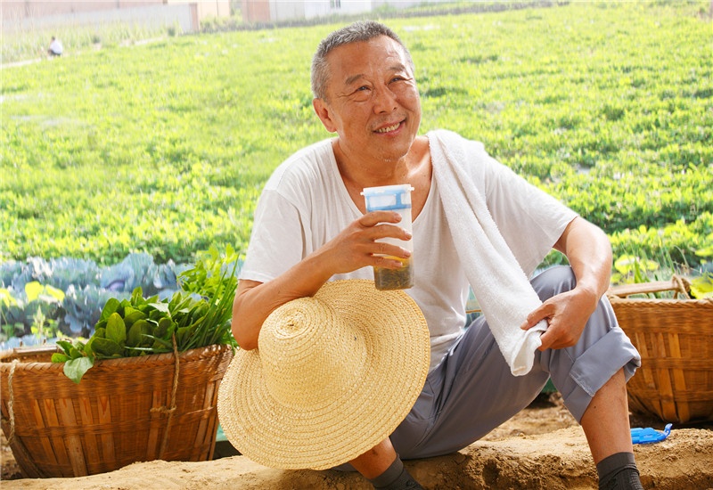 农村的蔬菜种植，有哪些品种能实现每亩收入一万元以上？推荐一些