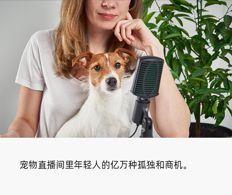 躺睡月入百万，宠物直播能诞生下一个“薇娅李佳琦”吗？
