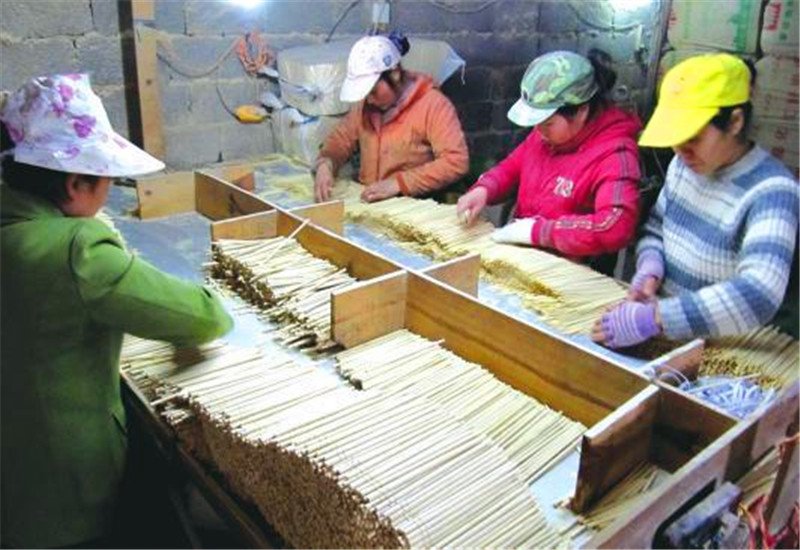 农村加工厂，这几个项目都是投资小、见效快，并且具备发展前景