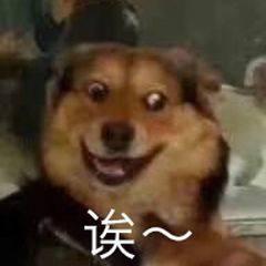 微信更新，烦死人的微信群问题解决了，还能立“遗嘱”