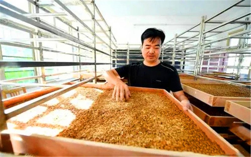 当前市场上，适合50—65岁人的创业项目，有哪些短、平、快的？