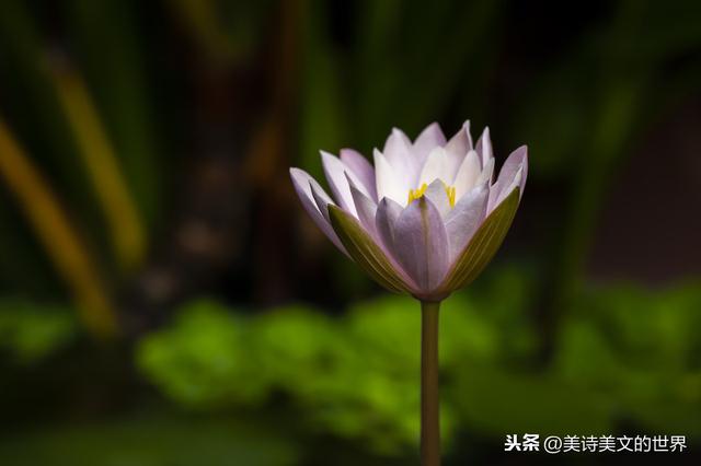 10秒能写出260首诗的机器人，写的诗水平如何，诗人真的要失业？