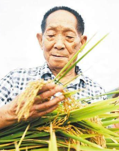 悲痛！袁隆平因多器官功能衰竭去世，享年91岁