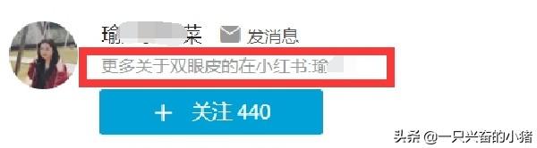 一文讲透哔哩哔哩视频引流