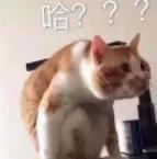 解密兴盛优选：如何用20元客单价做到40亿美元估值？