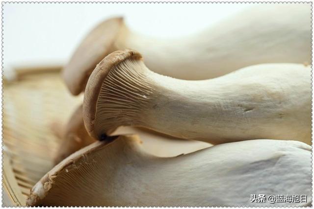 无一技之长返乡创业，十万元如何做到年入六万？这三个项目都能