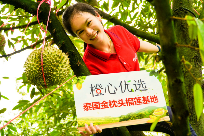 携手泰国政府 滴滴橙心优选打造首个本土榴莲节