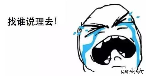 学会运营先行