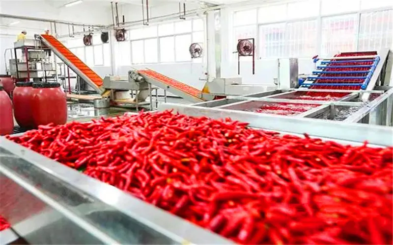 农副产品深加工，现在有哪些项目前景好，市场不愁销路？