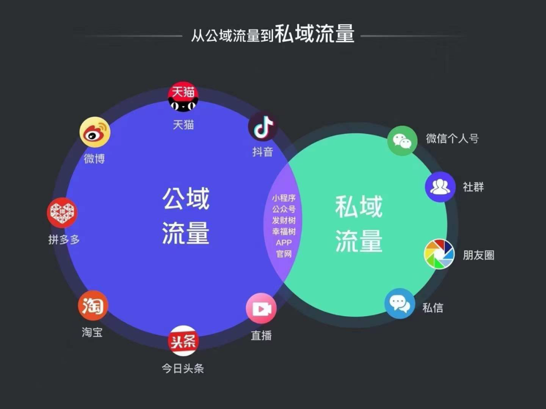 李佳琦薇娅为什么开始布局私域流量？