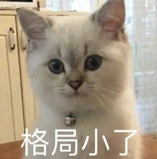 9倍溢价的爱马仕AirTag：我很贵，你还买不到