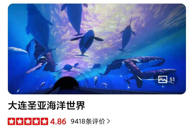 52只企鹅收入2000万！养鹅真能拯救上市公司吗？大连圣亚为保壳拼了！上万股民狂欢，监管火速问询