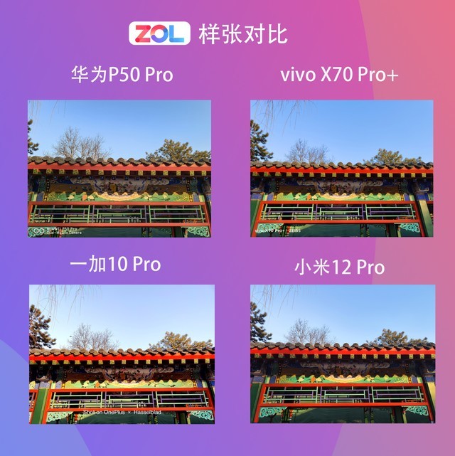 5000万像素谁最会拍？华为/一加/小米/vivo主摄实测对比