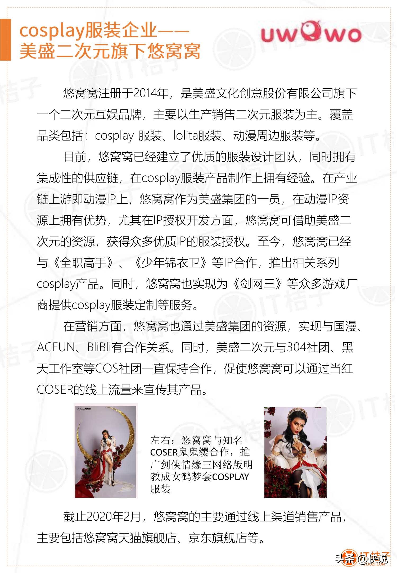 2019-2020年中国二次元服装消费市场分析报告
