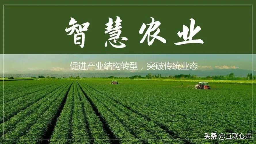 吉林人要做的三件事，抓住“数字经济”发展浪潮，这只是其中之一