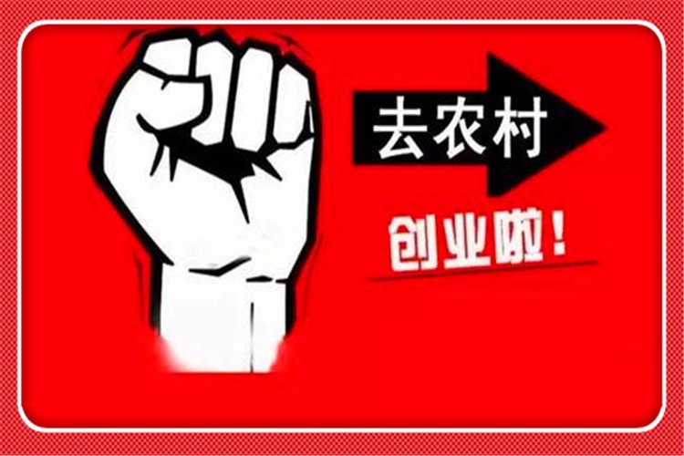 当前的农村，有哪些比较好一些的创业项目，可以快速赚钱呢？