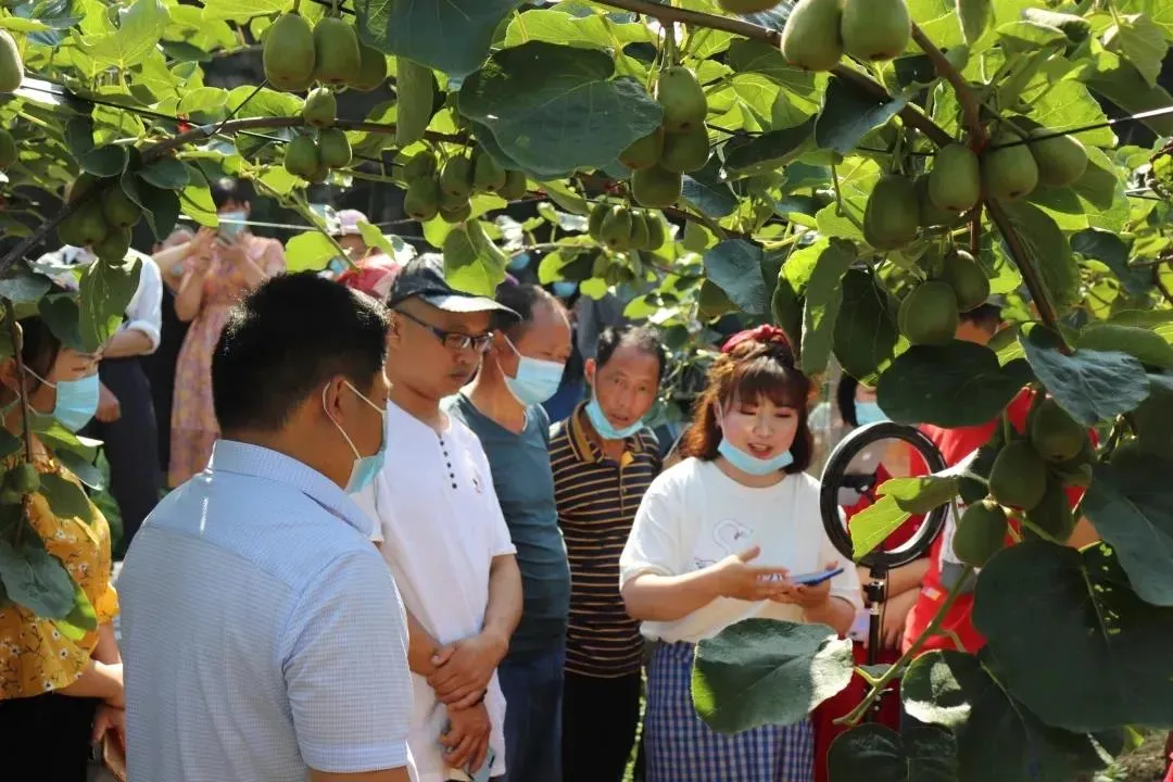 农业触网新时期，“土味”农产品如何做出好品牌？