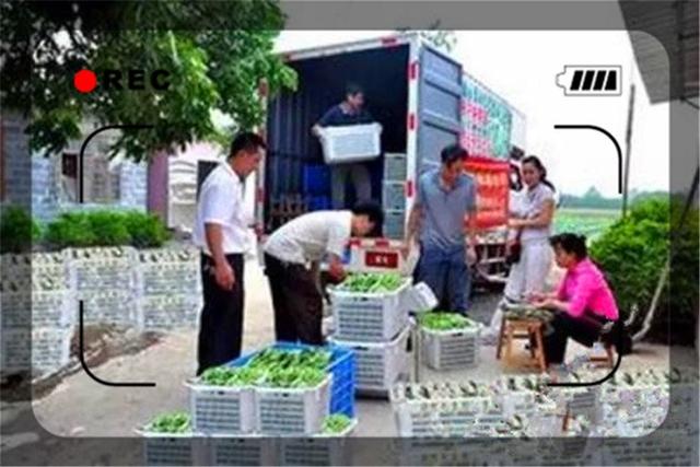 手里有20万资金，没有开店经验，当前大环境下做什么能稳妥赚钱？