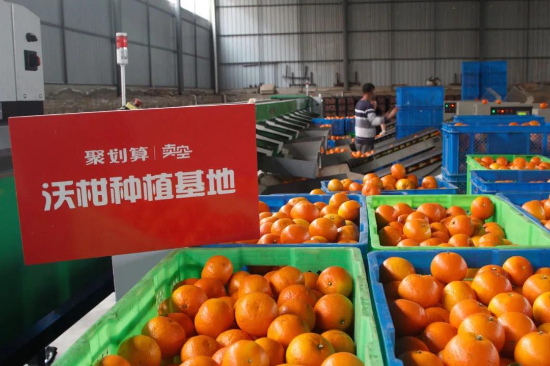 聚划算地域直播，踩准了时代节拍