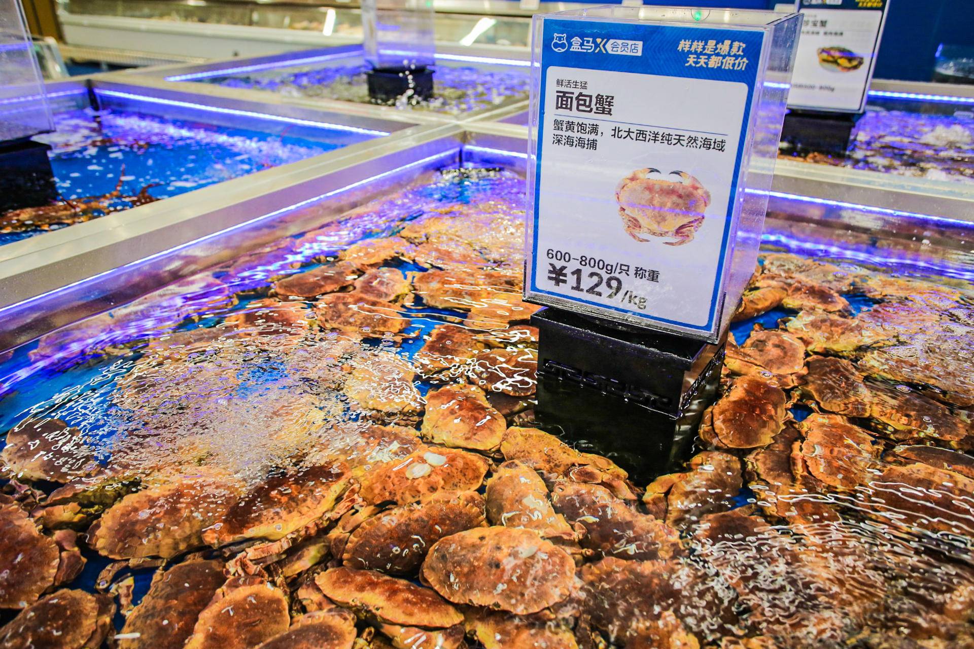 会员制超市新“三国杀”：盒马X会员店引领新零售2.0？