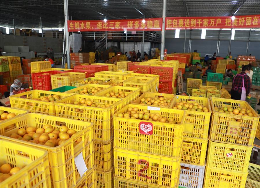 电商壹周｜拼多多开启农产品“原产地直发”，解决了什么问题？