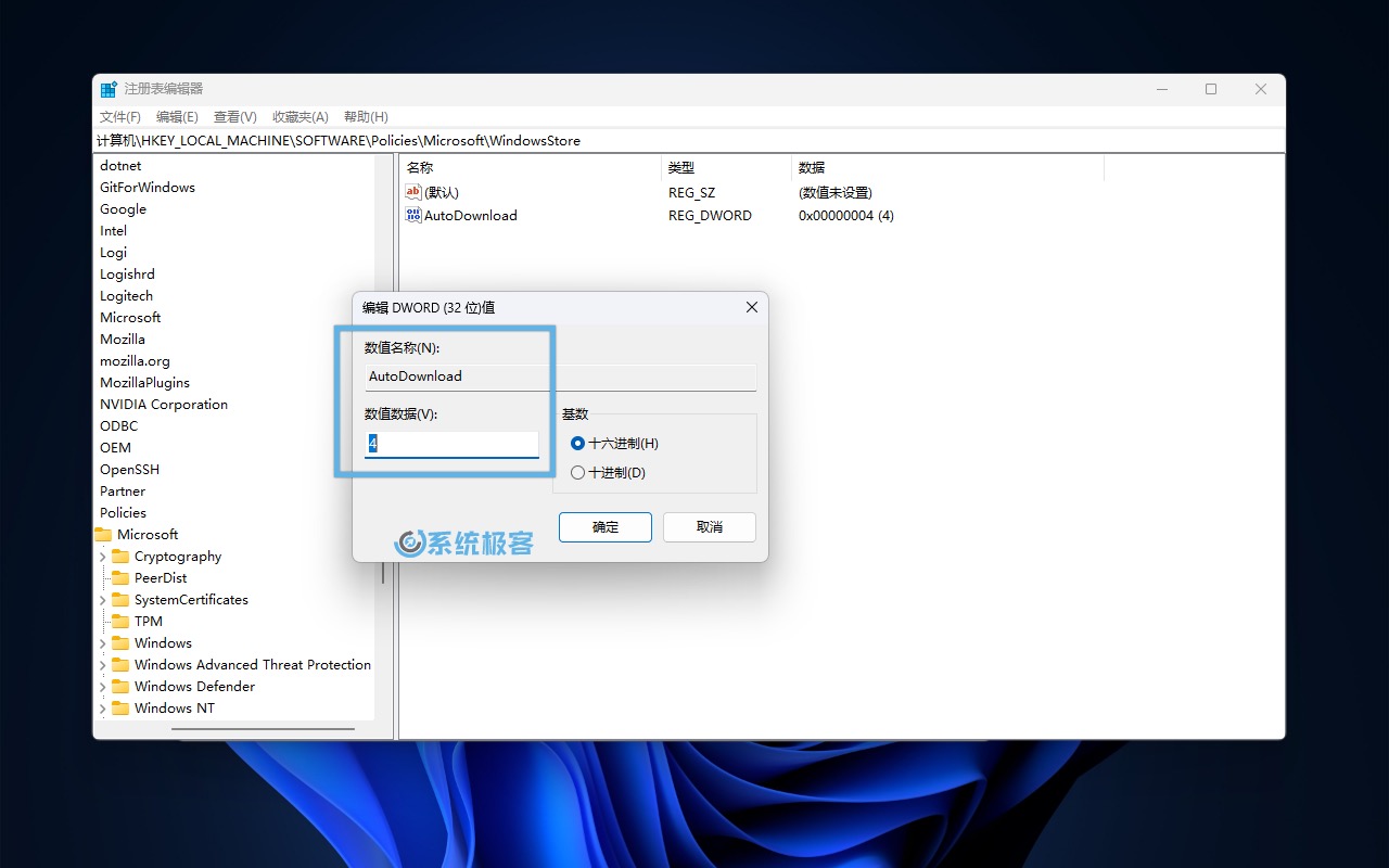 通过注册表打开或关闭 Microsoft Store 自动更新